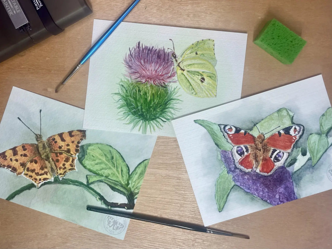The Butterflies That Inspired Wild Minder’s First Collection