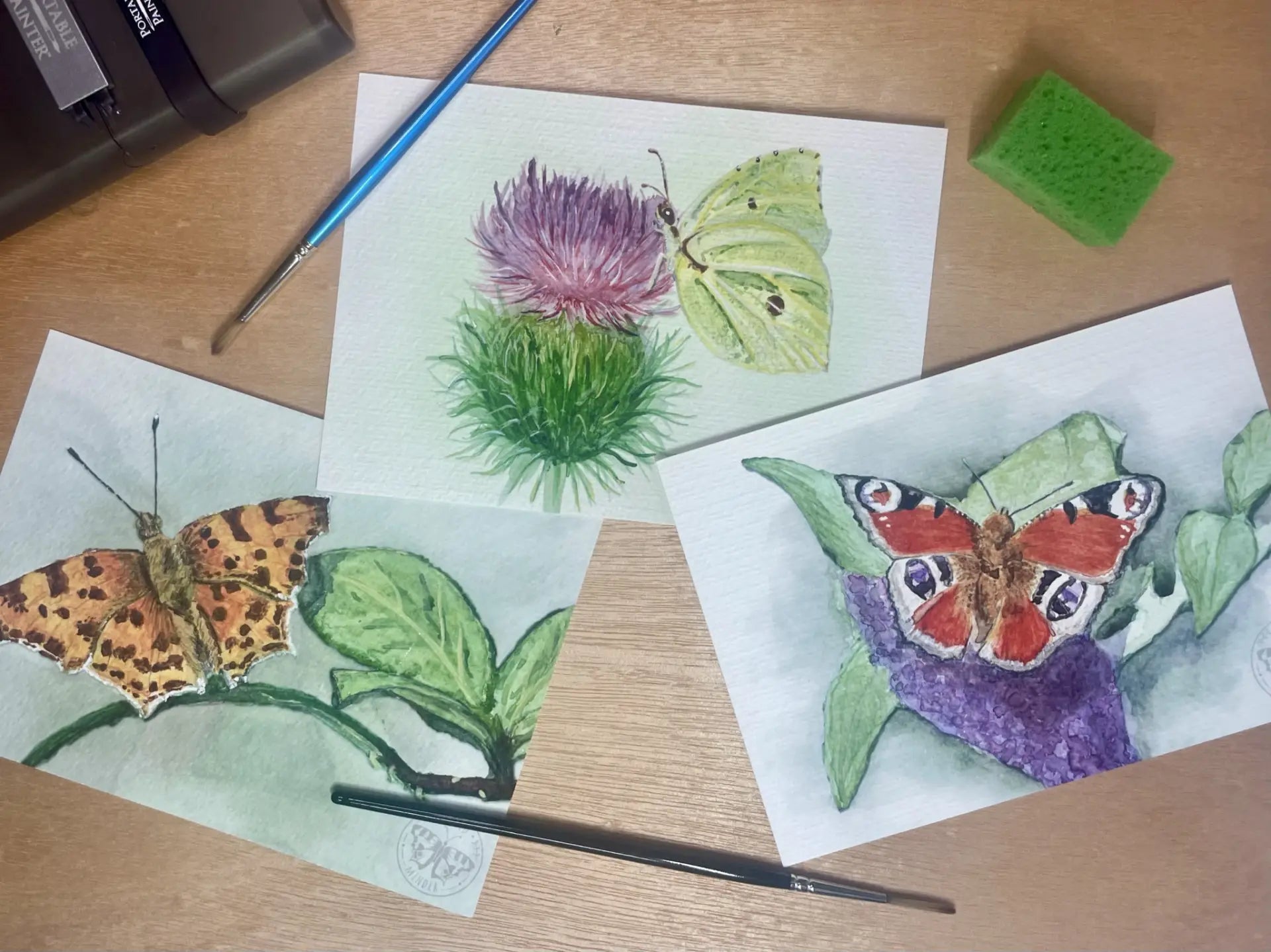 The Butterflies That Inspired Wild Minder’s First Collection