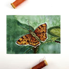 Comma Butterfly Embroidery Print - "Resilience" image 0