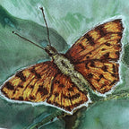 Comma Butterfly Embroidery Print - "Resilience" image 1
