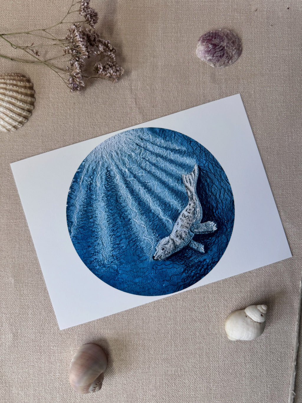 Selkie “Seal – Freedom” Print image 0