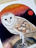Barn Owl “Awakening” Greetings Card image 2