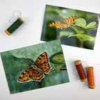Comma Butterfly Embroidery Print - "Resilience" image 2
