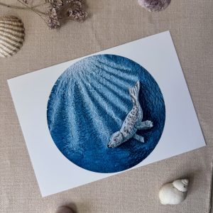 Selkie “Seal – Freedom” Print