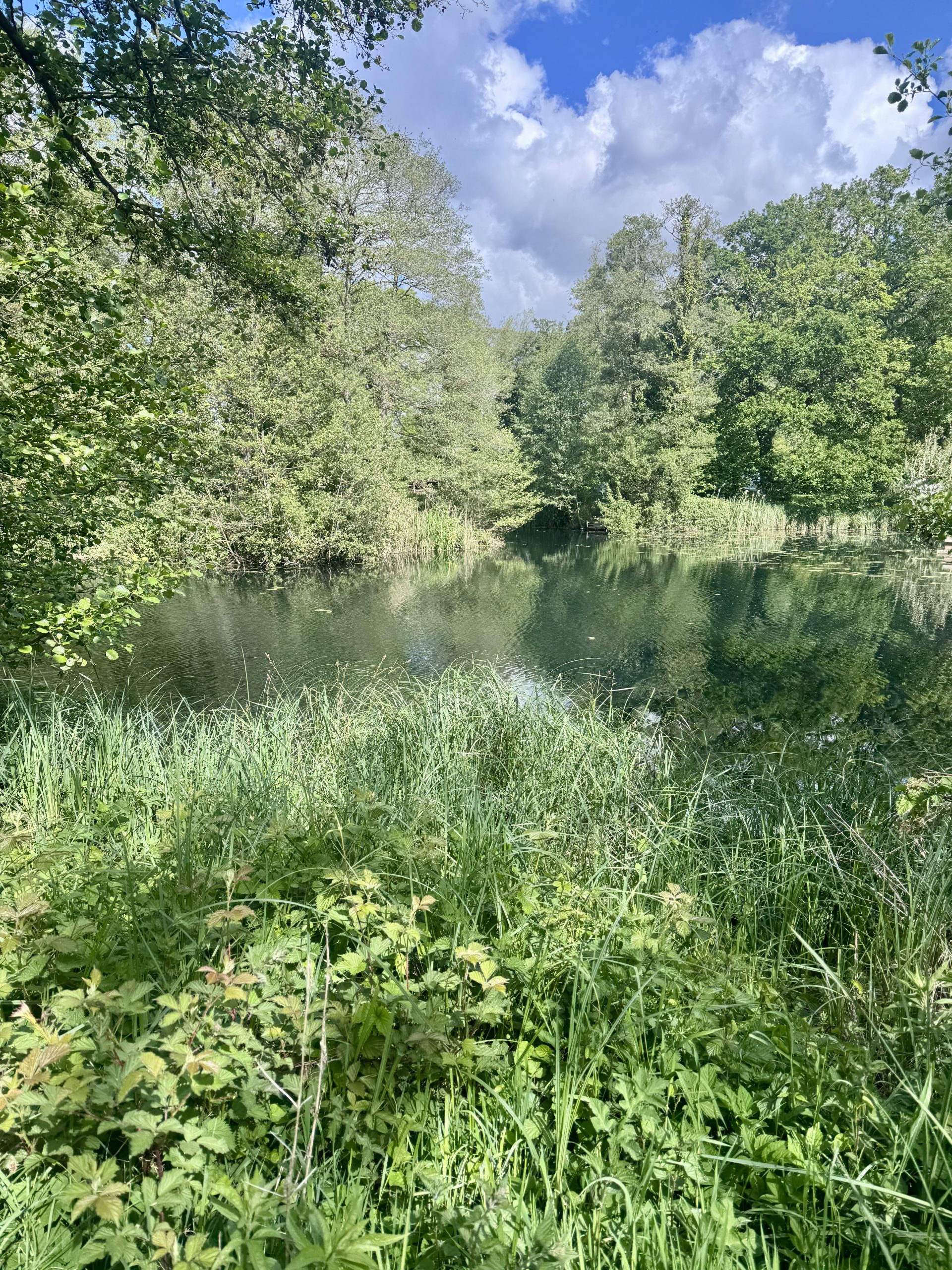 A photo of a Lake at Larkwood Lakes, West Stow.