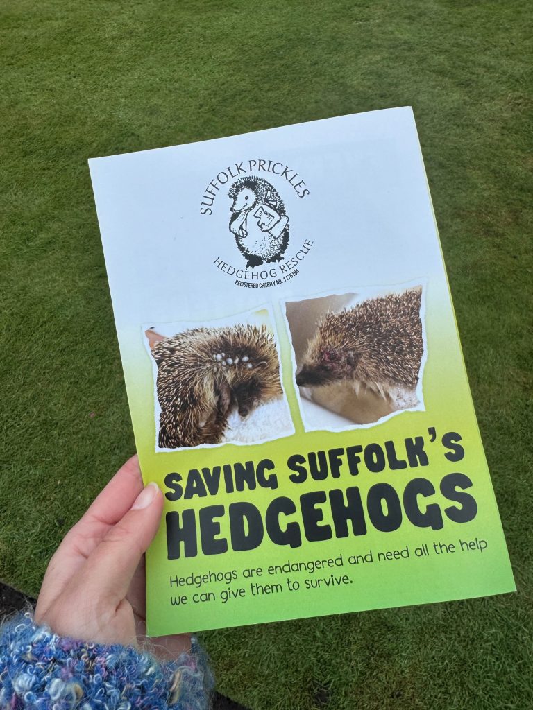 A hand holding the Suffolk Prickles Hedgehog Rescue Leaflet